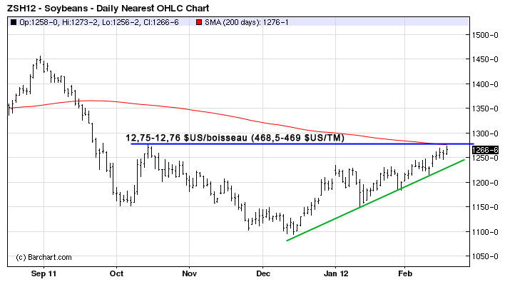 Soy tech MT 17 fev 12